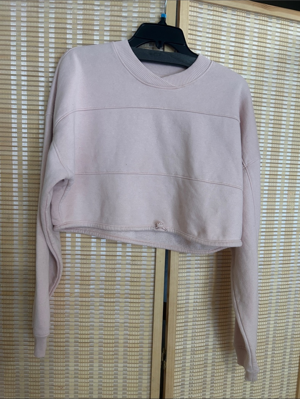 Cropped Crewneck Sweatshirt - Pale Pink